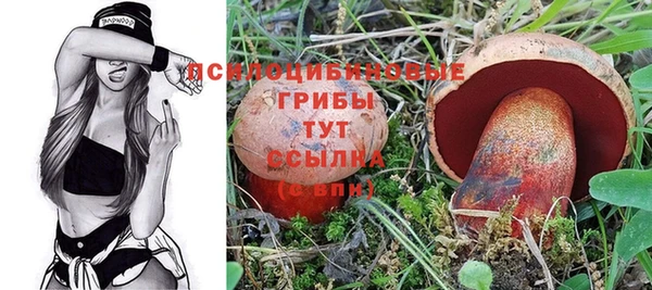 ПСИЛОЦИБИНОВЫЕ ГРИБЫ Коряжма