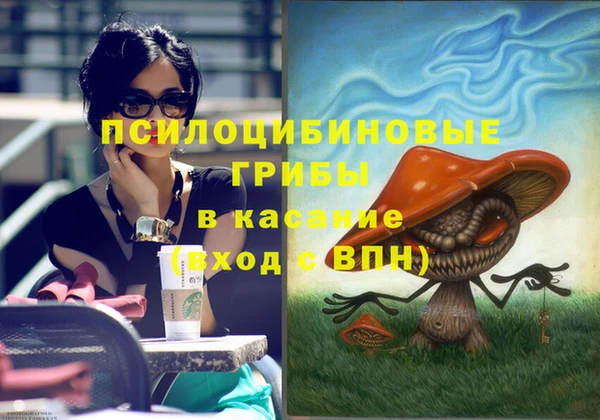 ПСИЛОЦИБИНОВЫЕ ГРИБЫ Коряжма