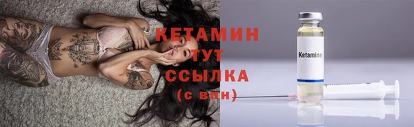 ПСИЛОЦИБИНОВЫЕ ГРИБЫ Коряжма