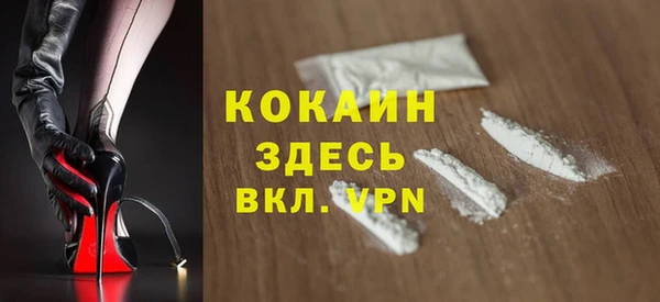 ПСИЛОЦИБИНОВЫЕ ГРИБЫ Коряжма