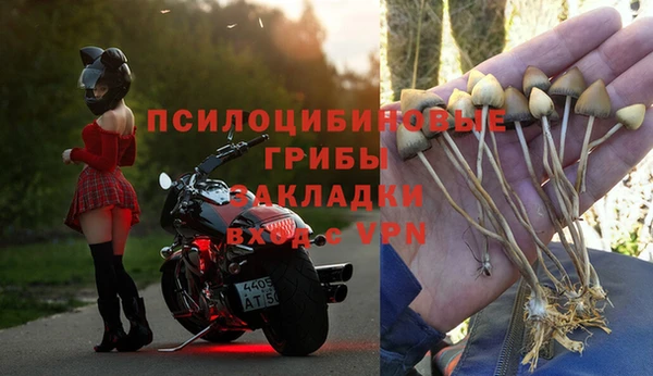 соль курить ск Костерёво
