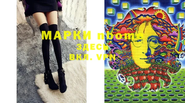 ПСИЛОЦИБИНОВЫЕ ГРИБЫ Коряжма