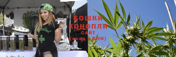 ПСИЛОЦИБИНОВЫЕ ГРИБЫ Коряжма