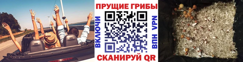 Псилоцибиновые грибы Magic Shrooms  Купить закладки  Волгоград 